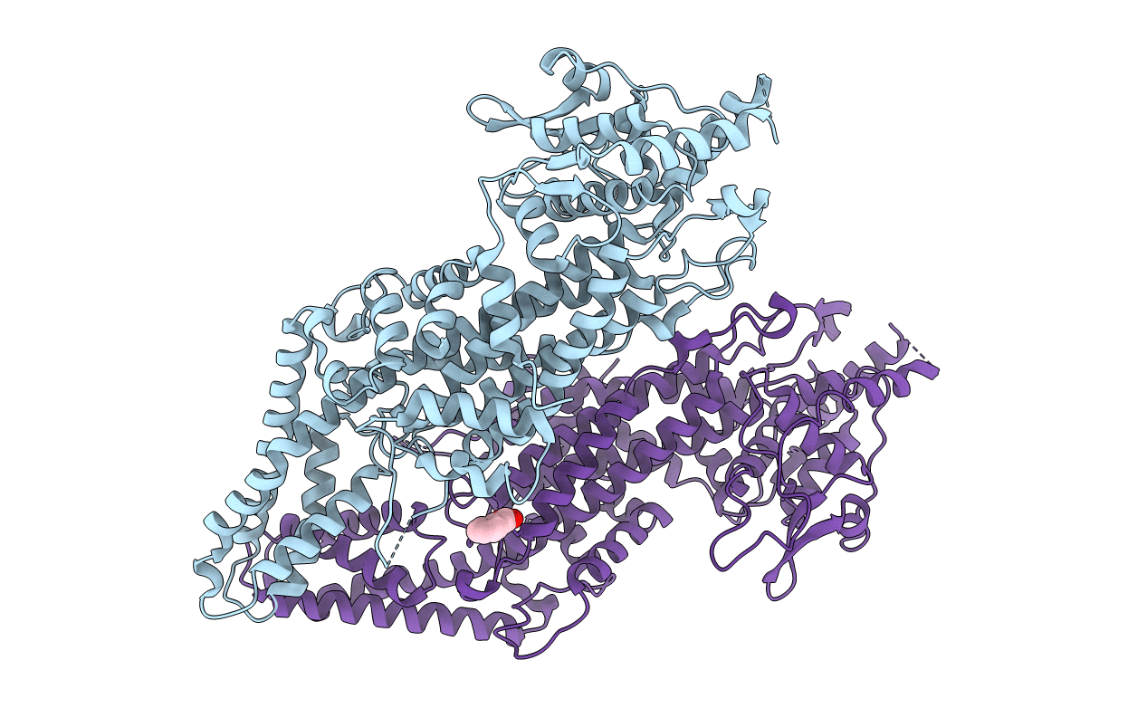 1T6J image