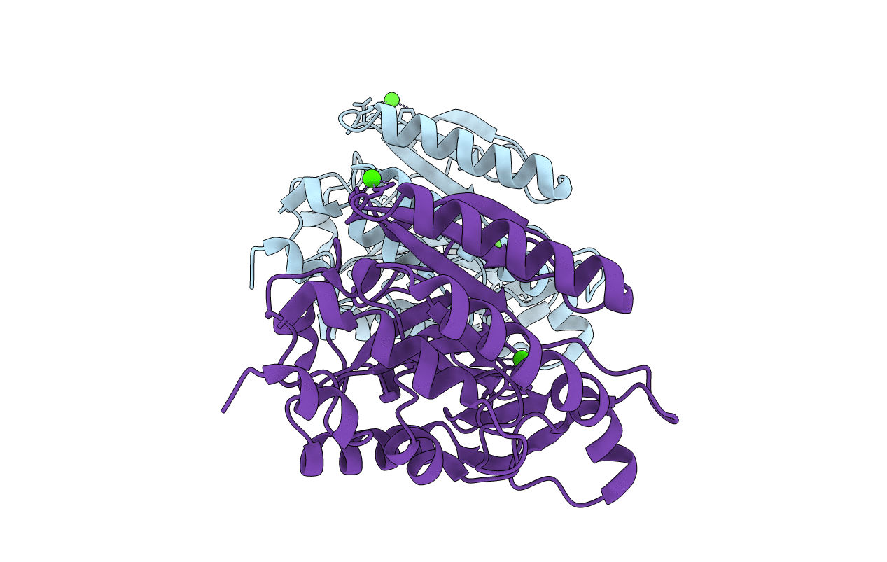 1T6M image