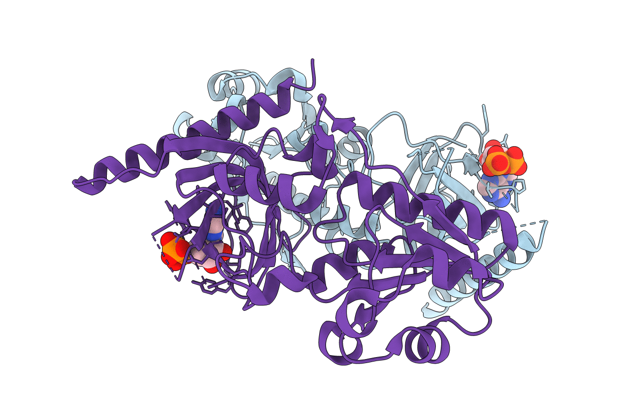 1T6X image