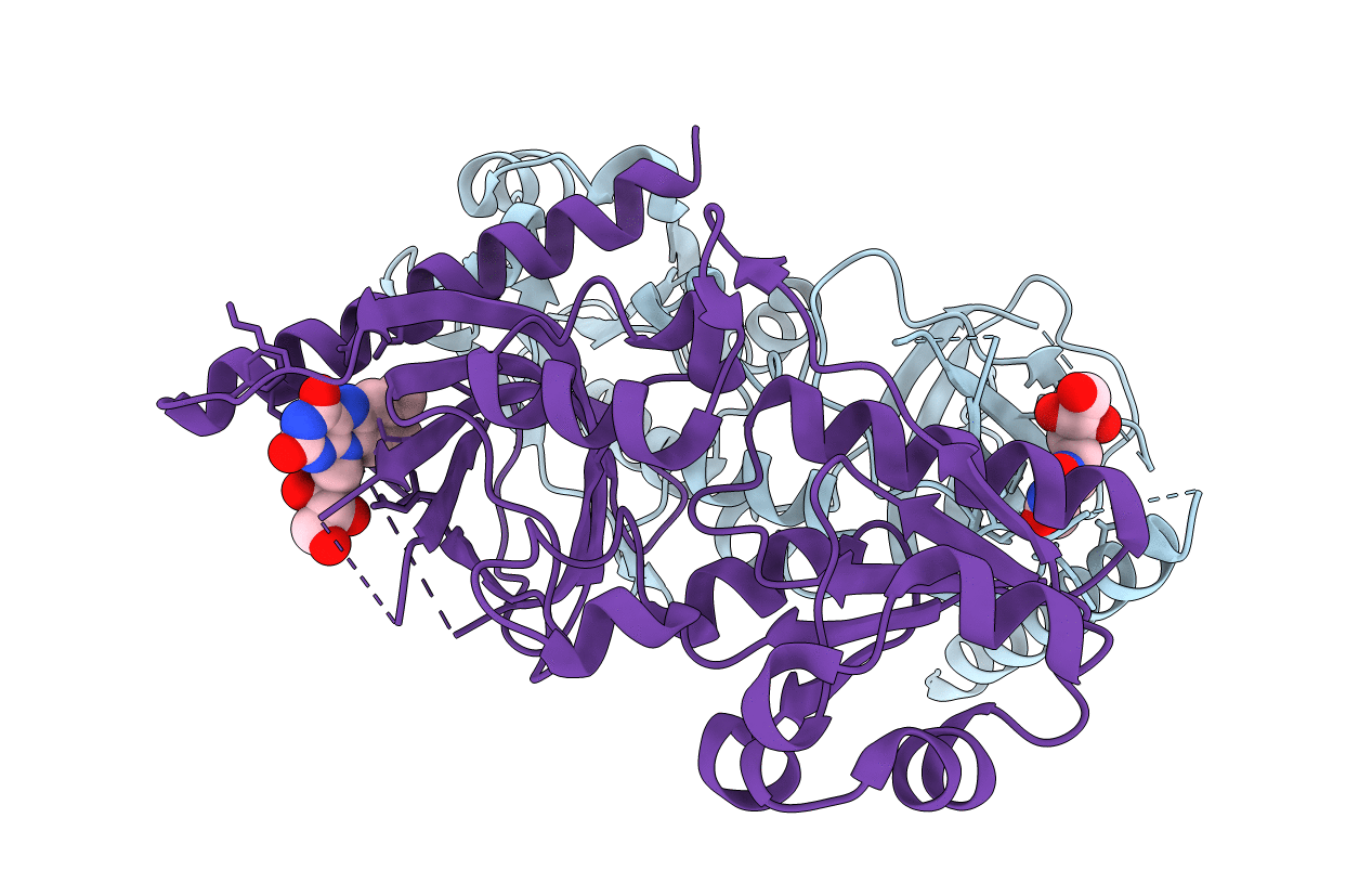 1T6Z image