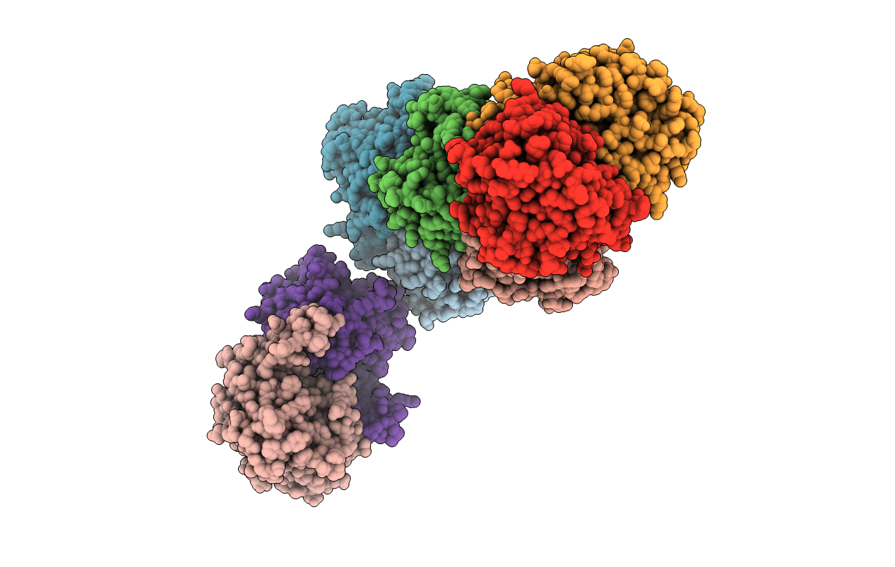 1T70 image