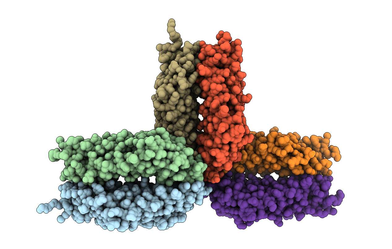 1T72 image