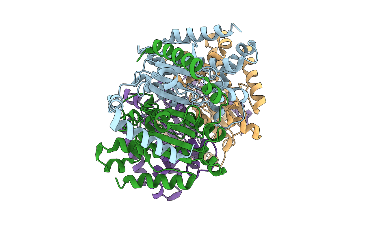 1T75 image