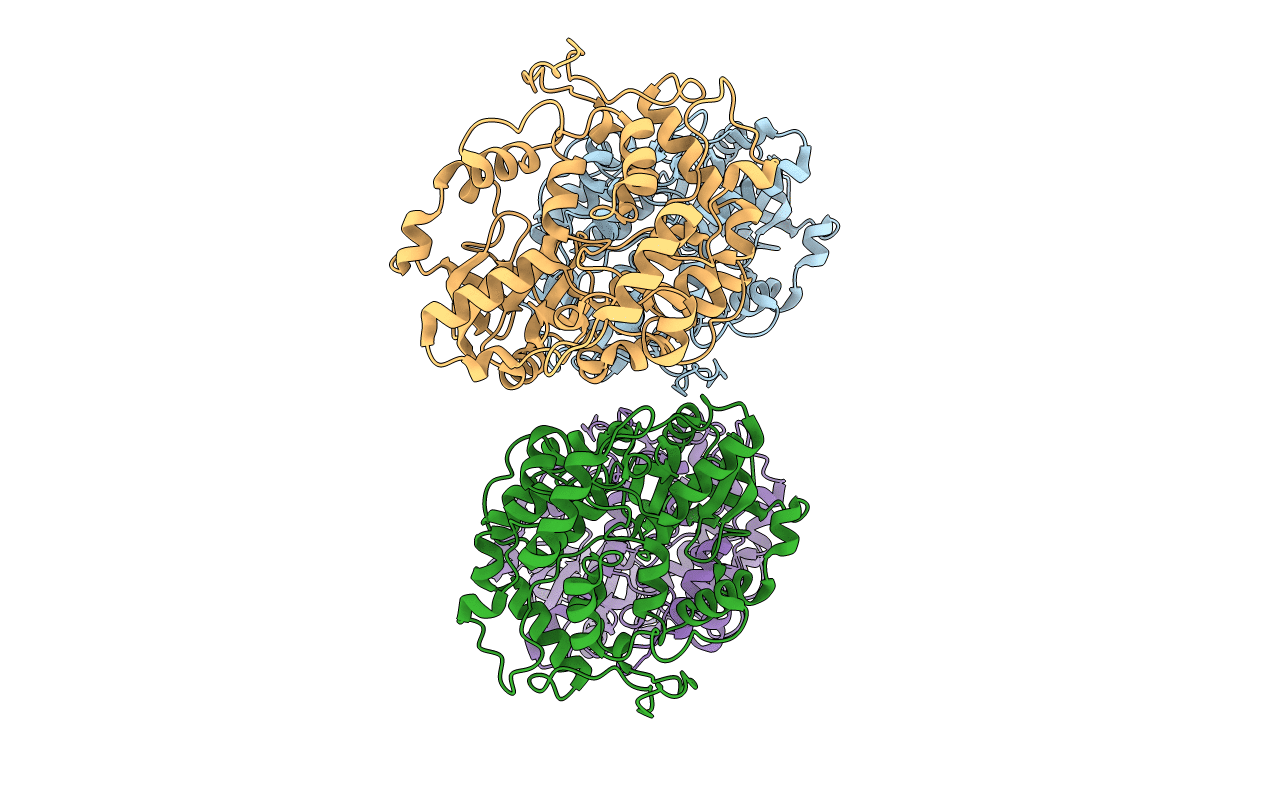 1T77 image