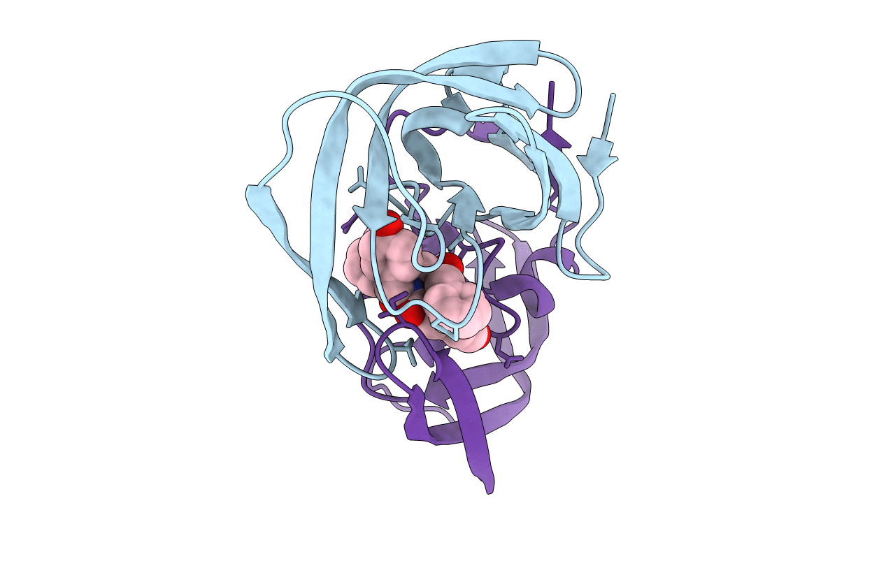 1T7K image