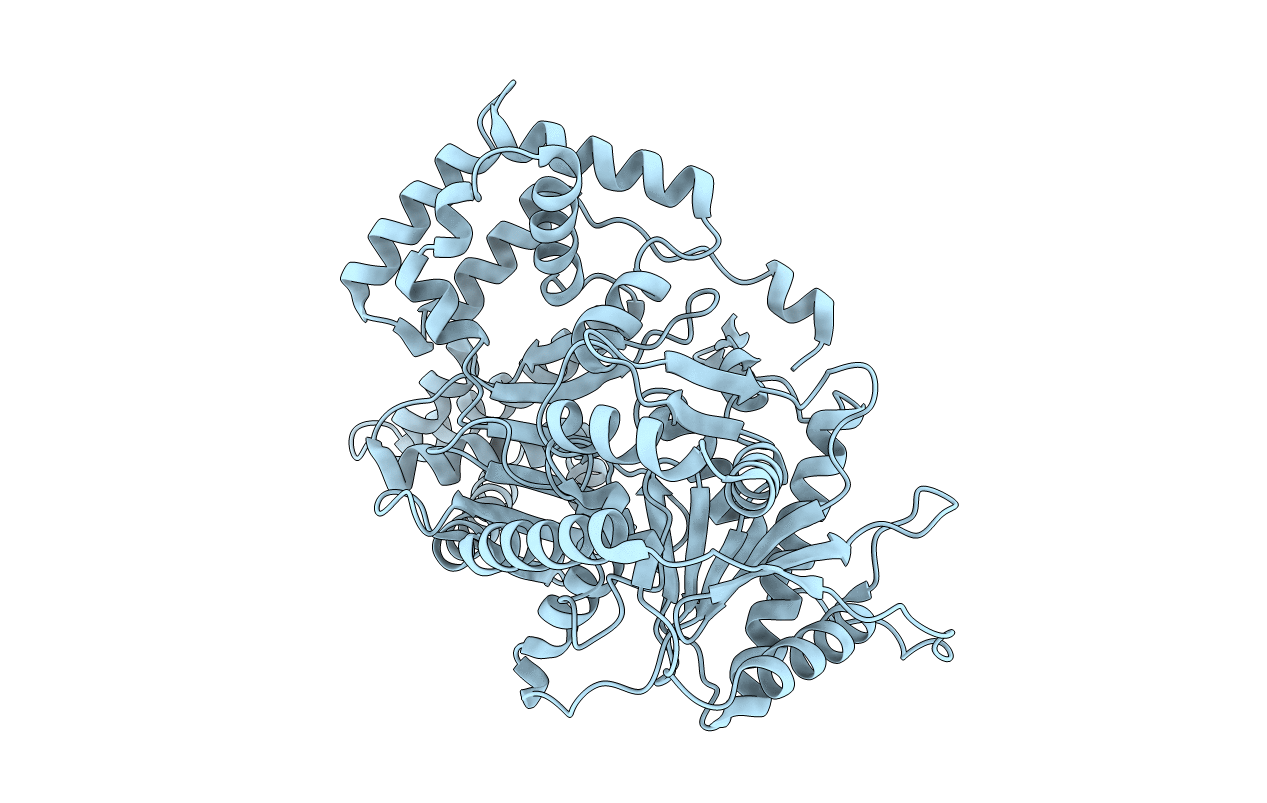1T7N image