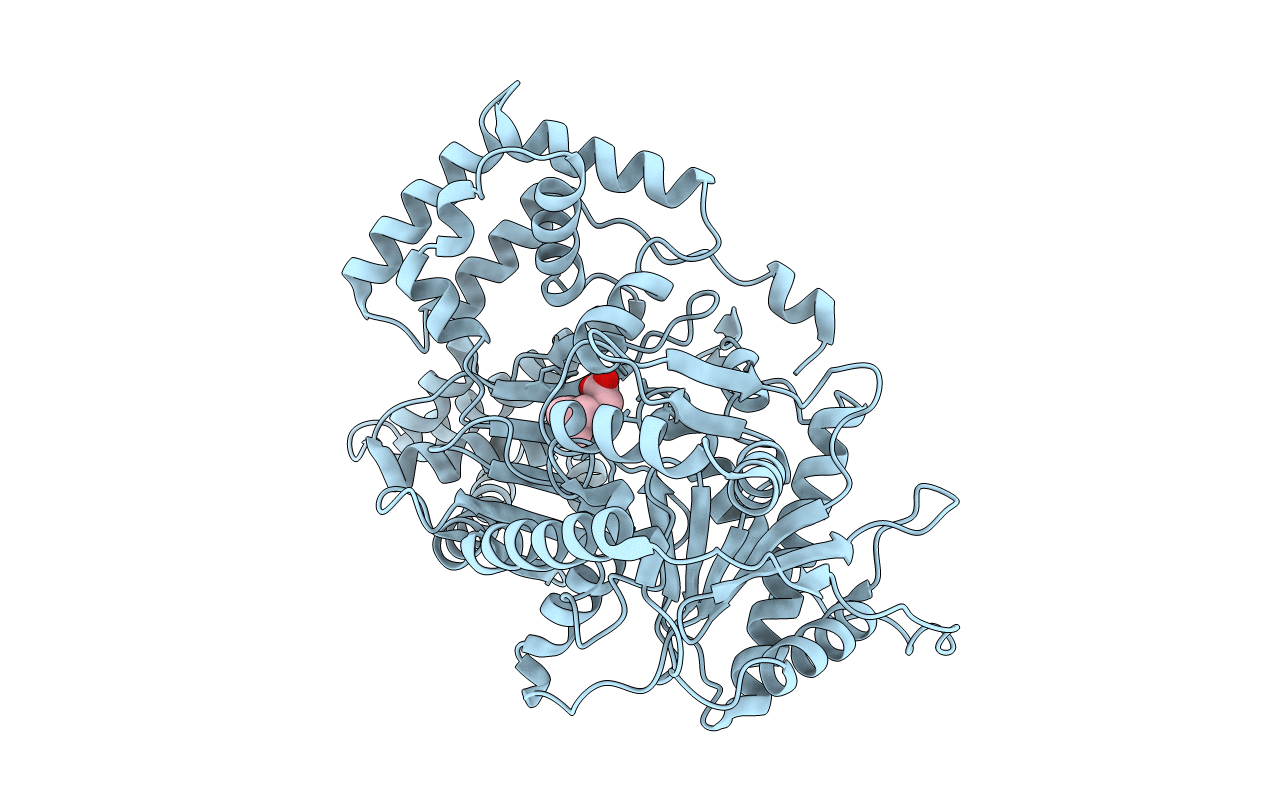 1T7O image