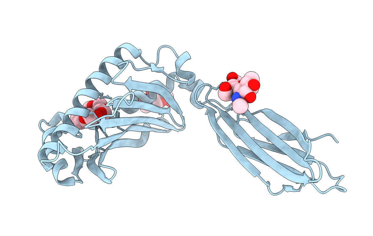 1t7v image