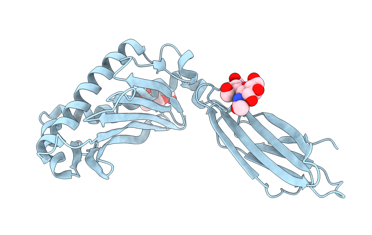 1T7Z image