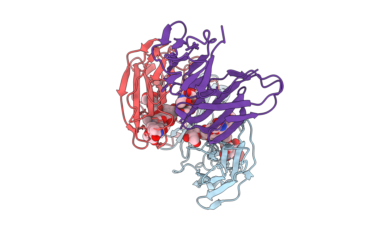 1T83 image