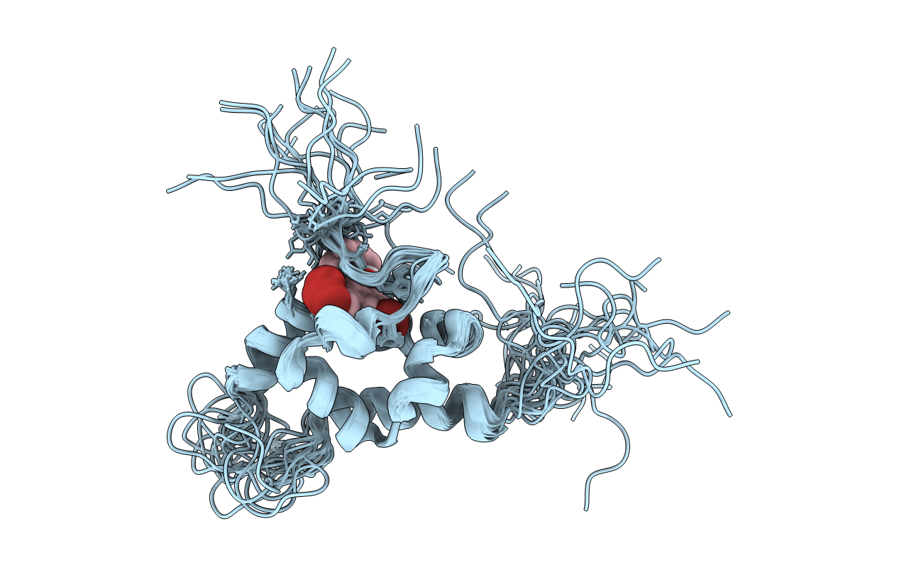 1T84 image