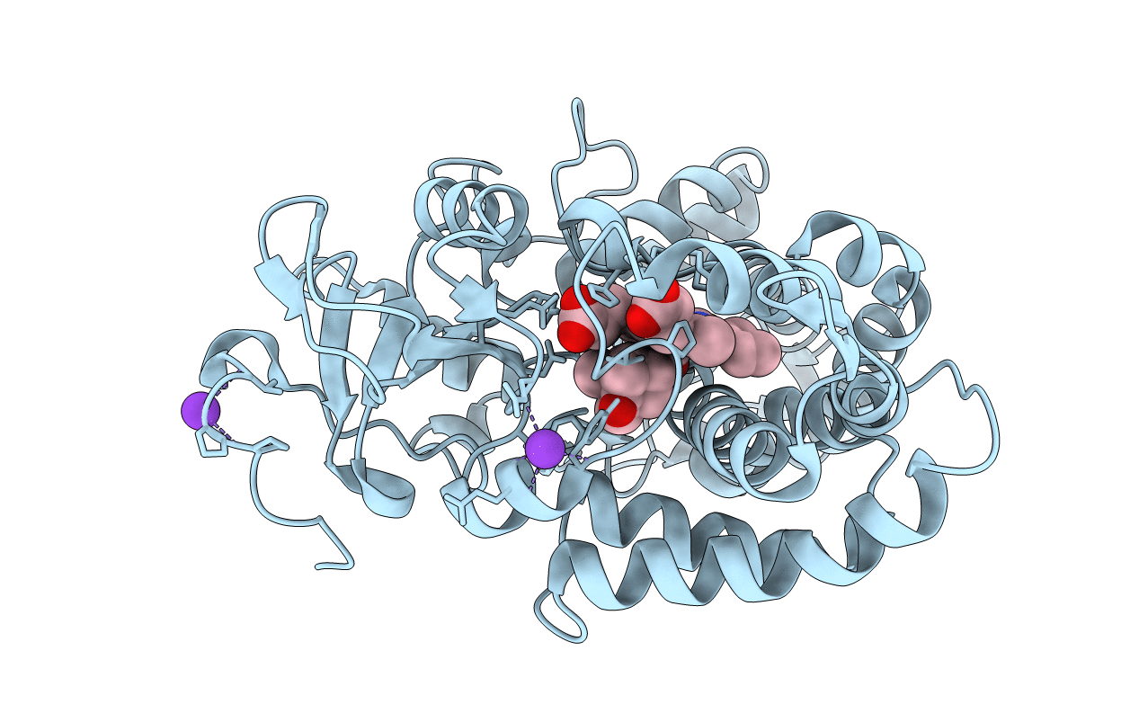 1T85 image