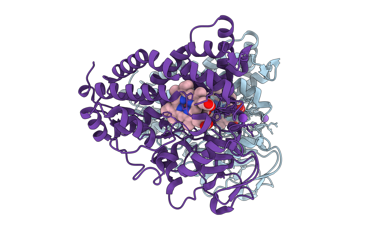1T86 image