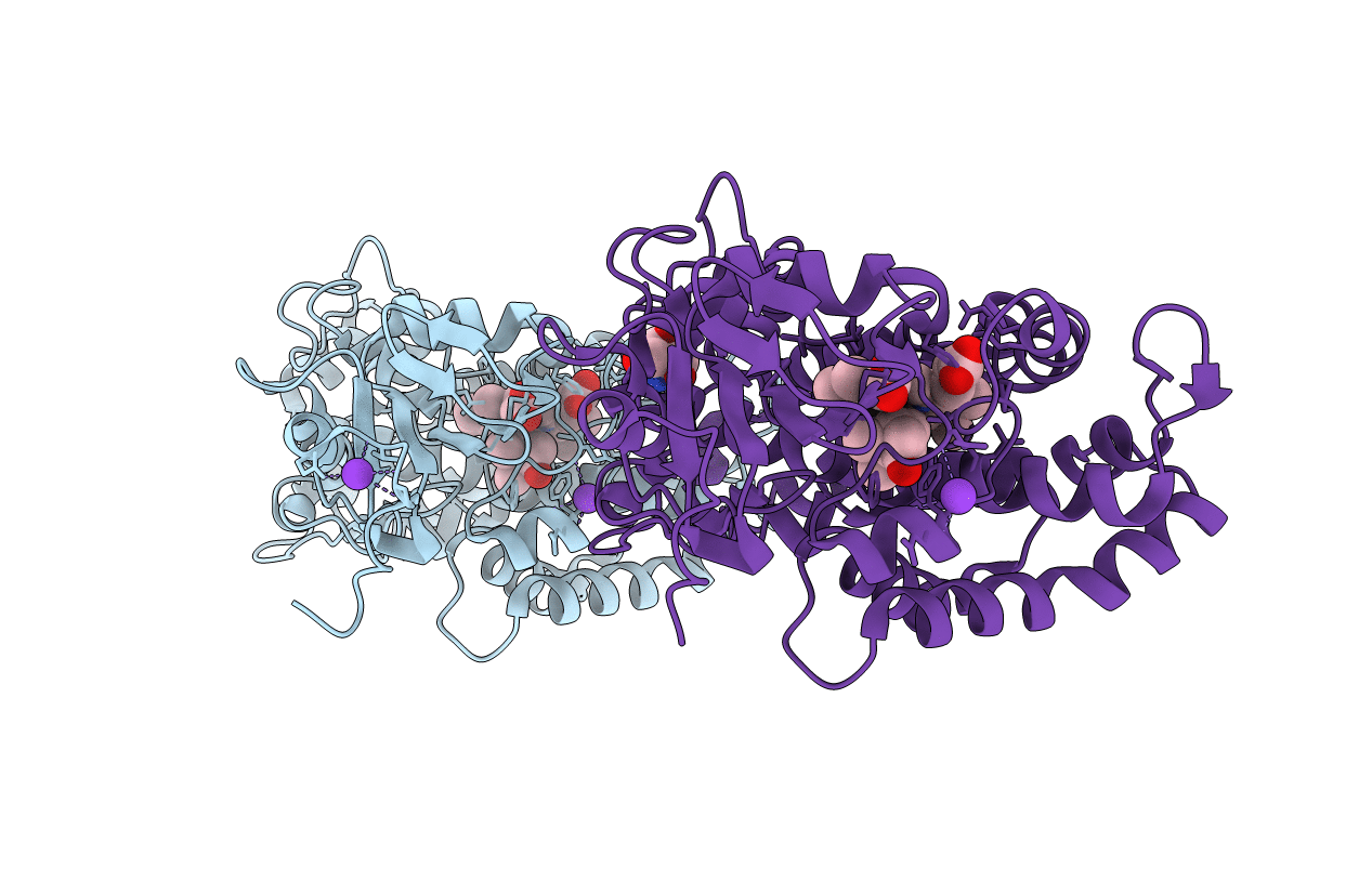 1T87 image
