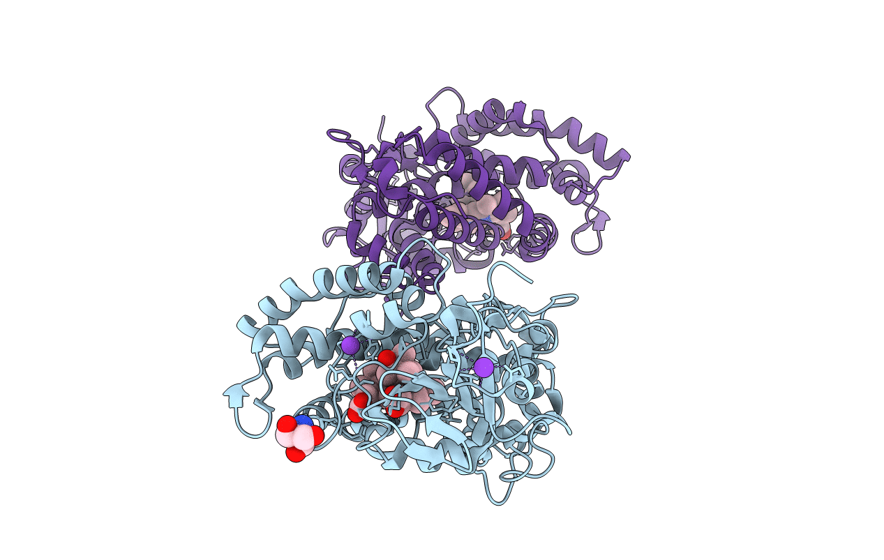 1T88 image