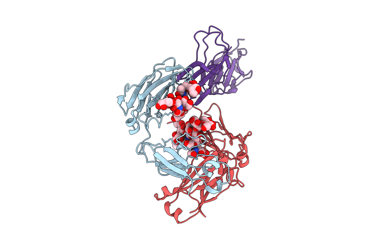 1T89 image