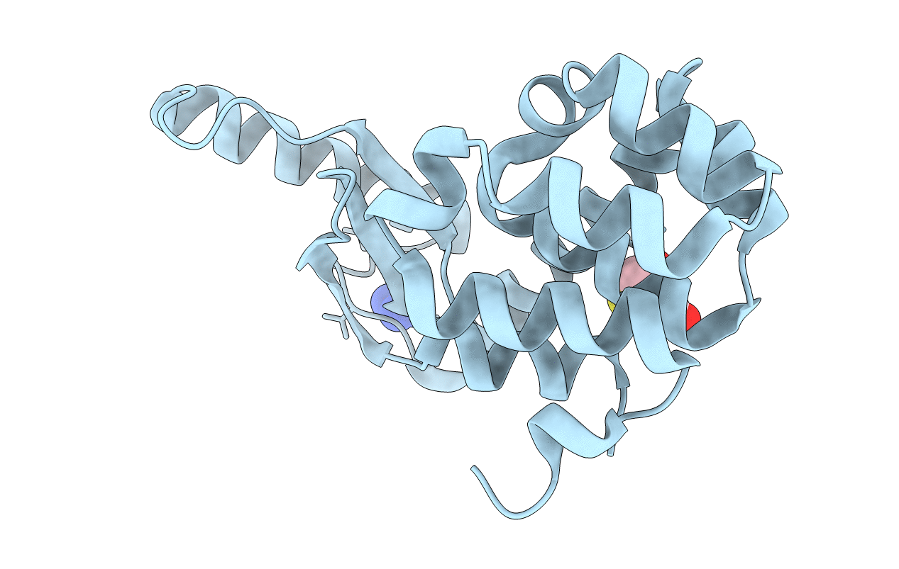 1T8A image