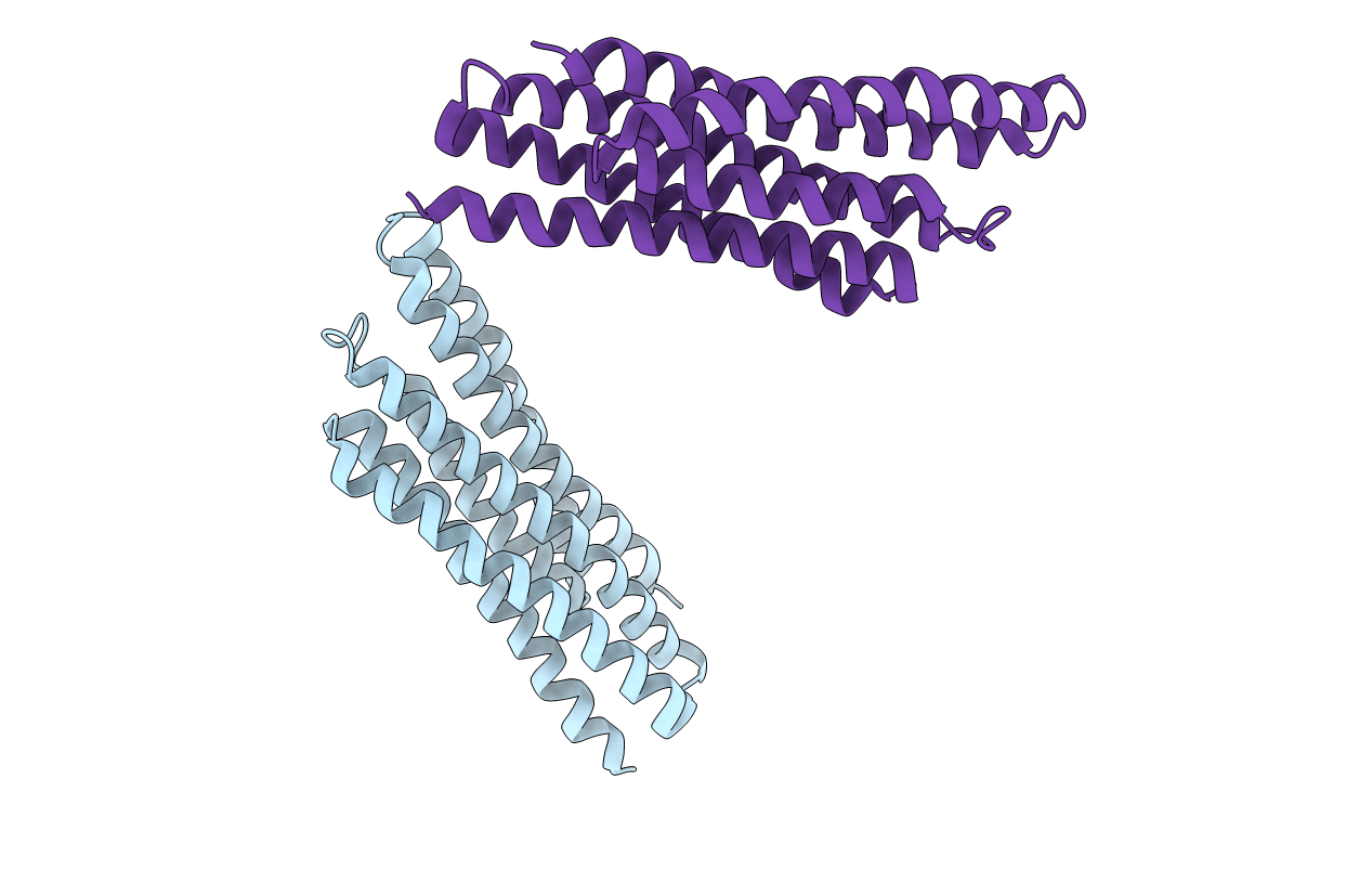 1T8B image