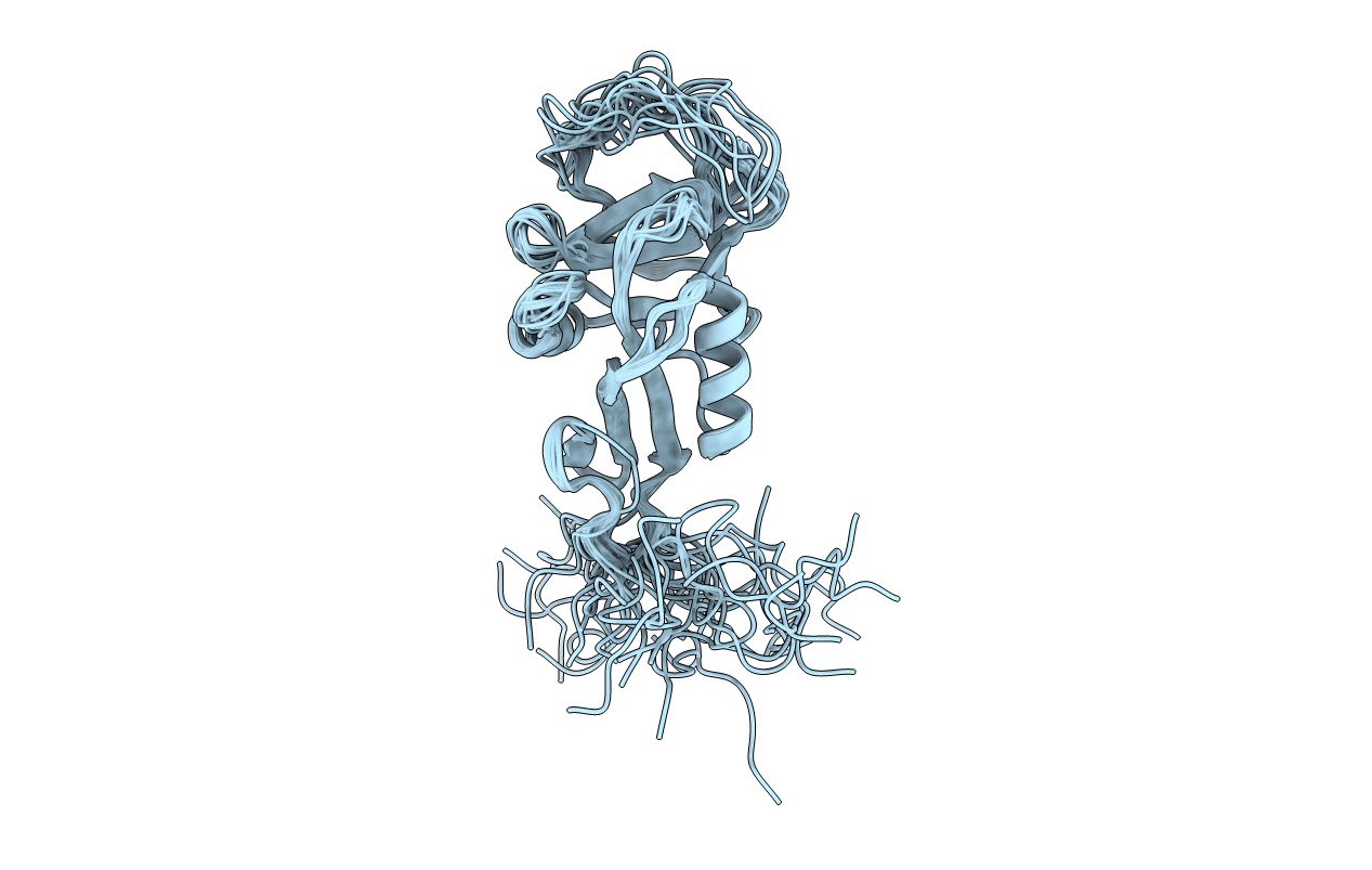 1t8d image
