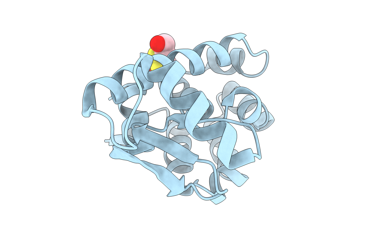 1T8F image