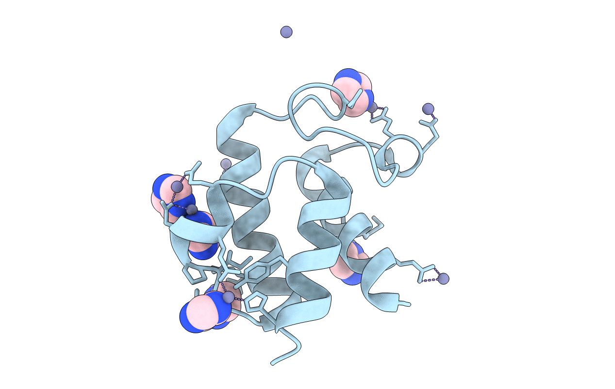 1T8K image