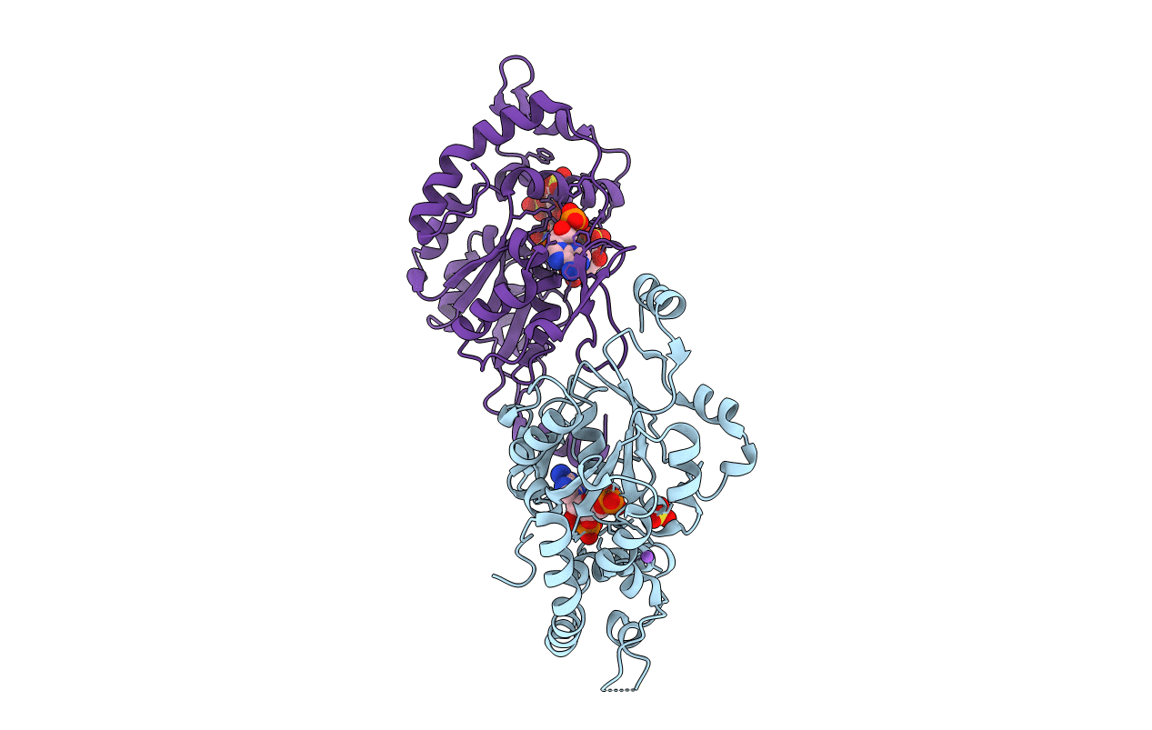 1T8U image