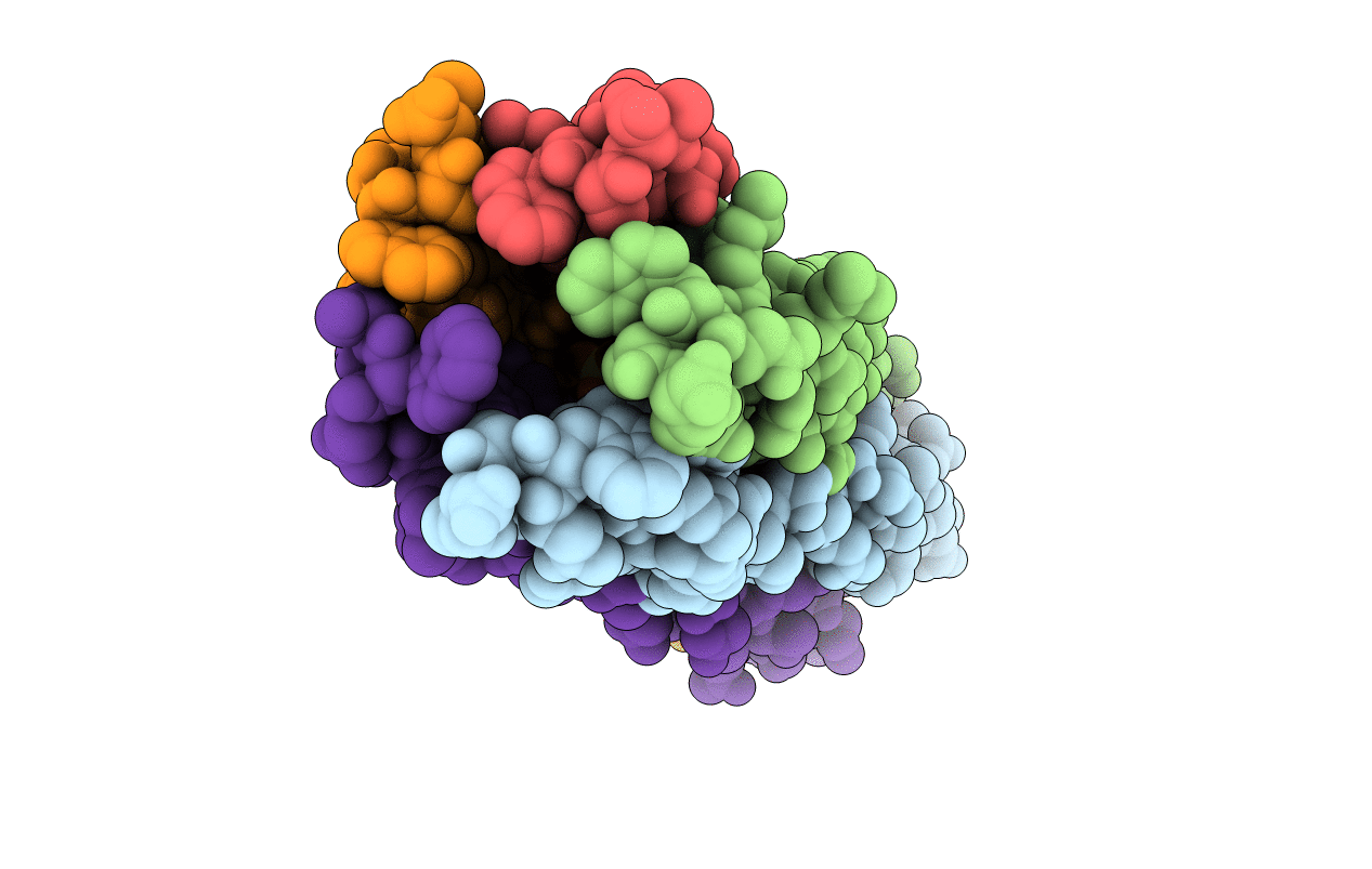 1T8Z image