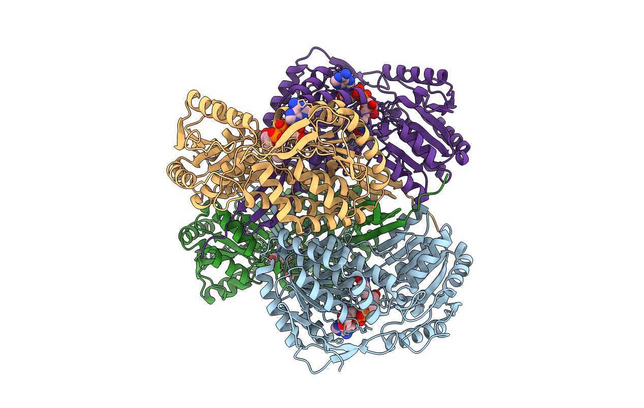 1T90 image