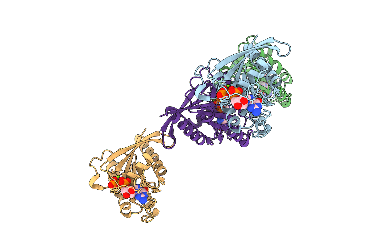 1T91 image