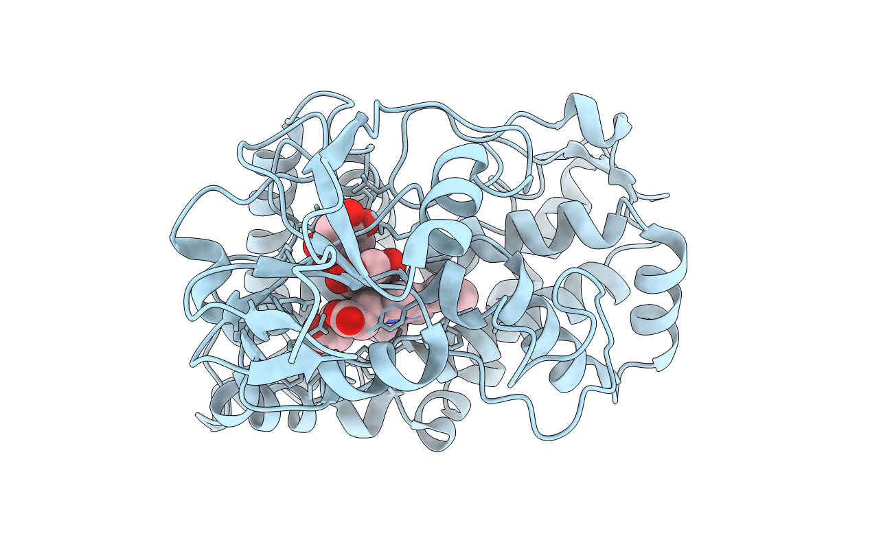 1T93 image