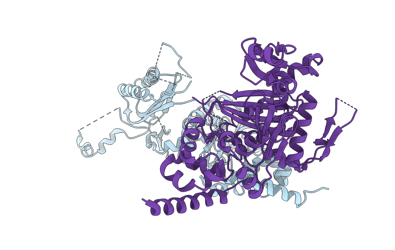 1T94 image