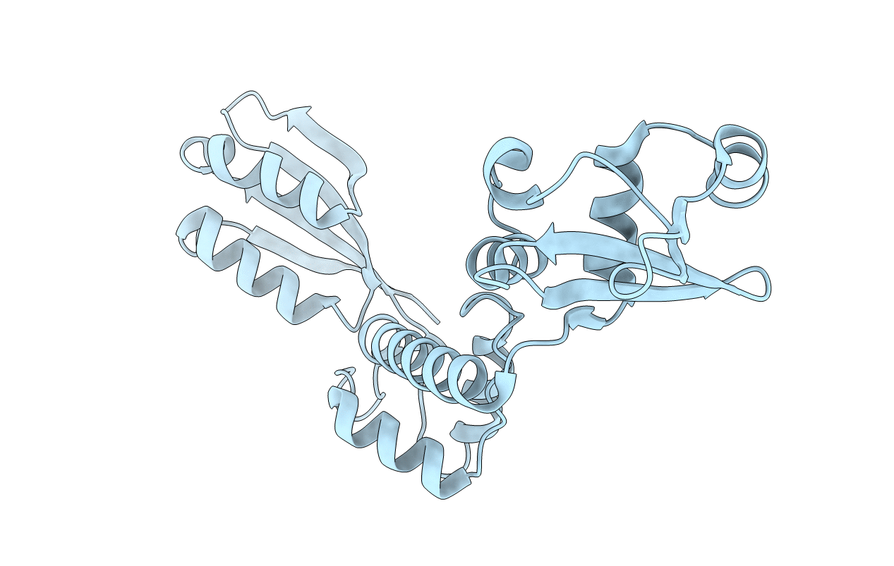 1T95 image