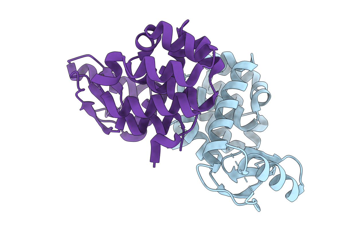 1T97 image