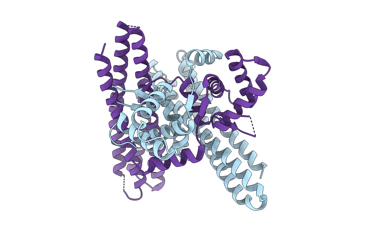 1T98 image