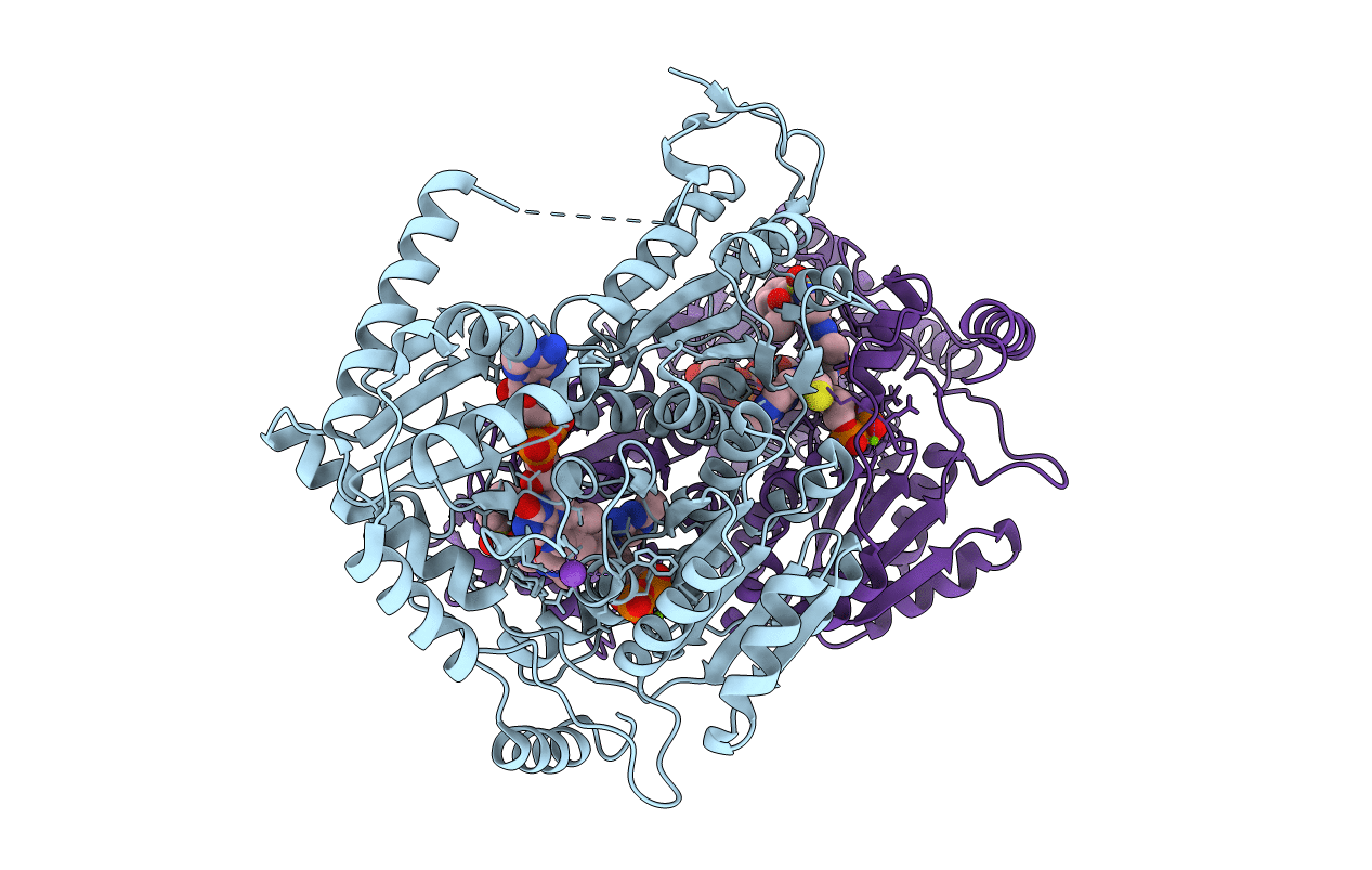 1T9A image