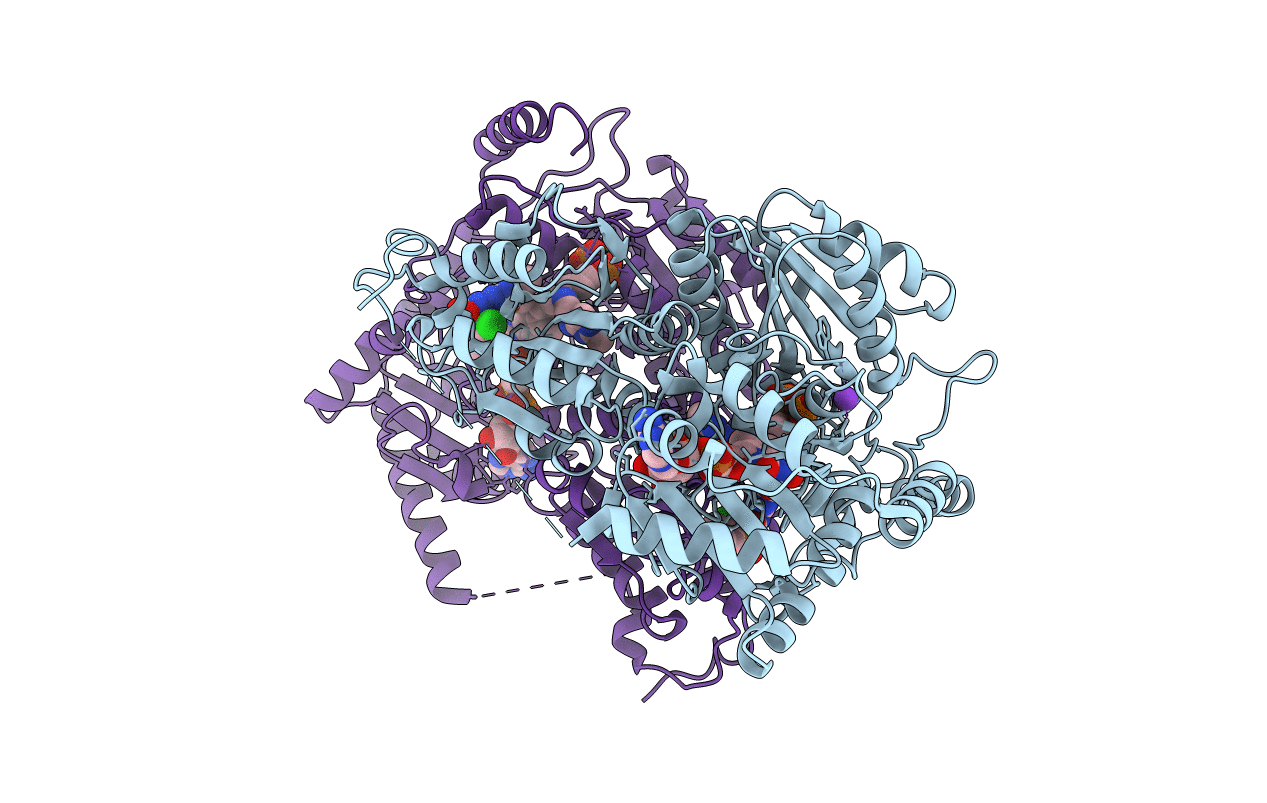 1T9B image