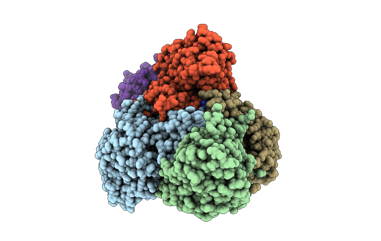 1T9G image