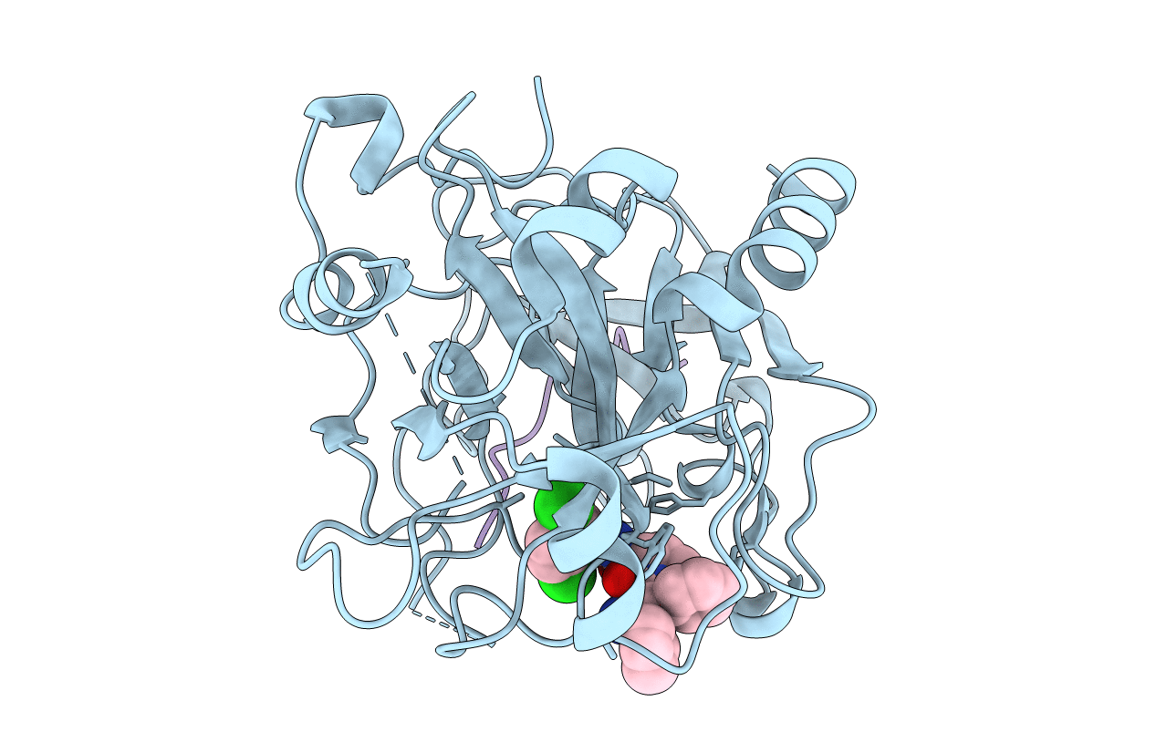 1TA2 image
