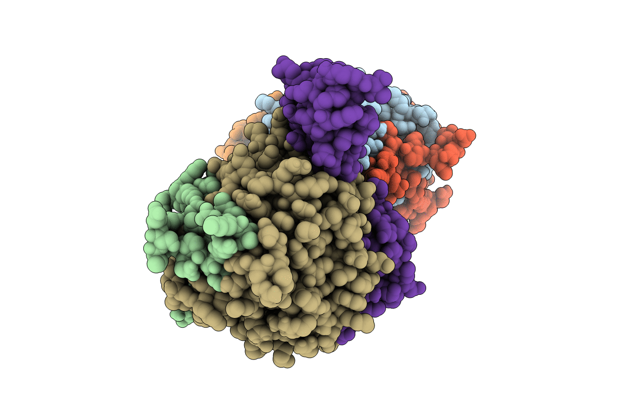 1TBR image