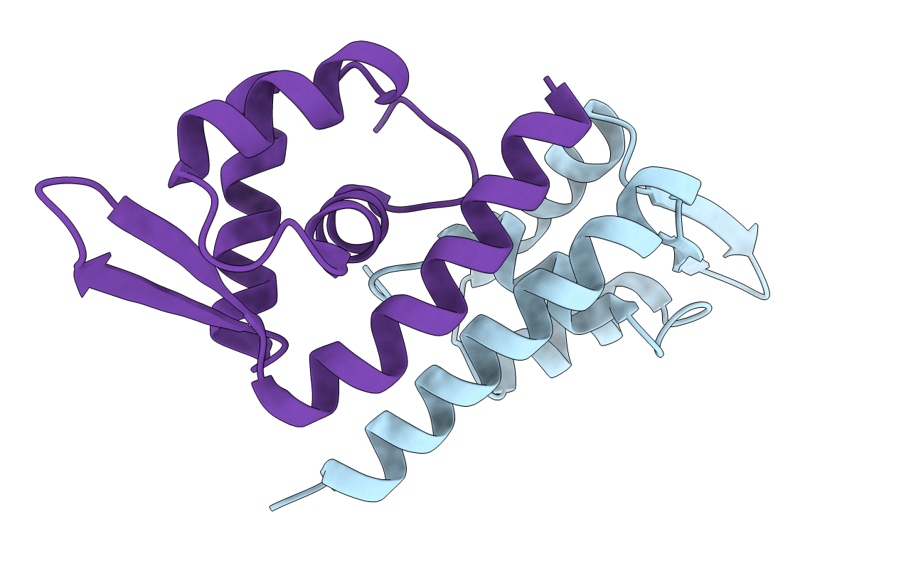 1TBX image