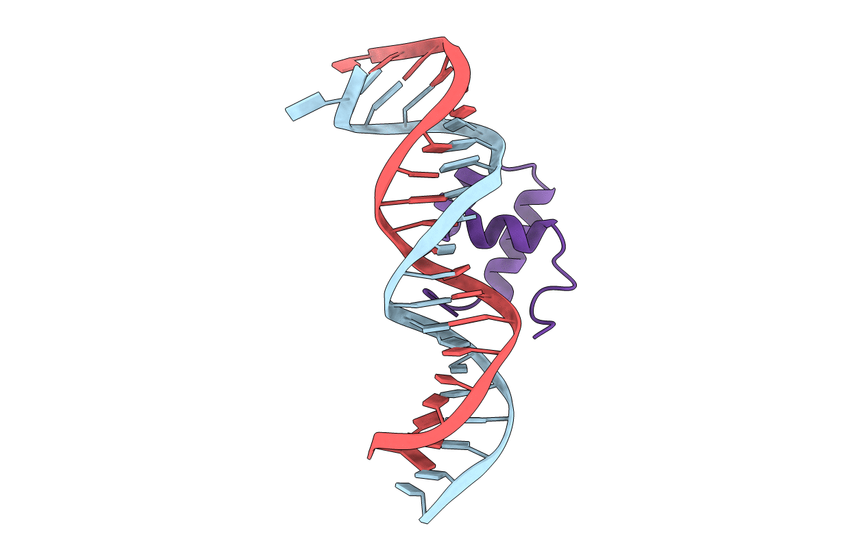 1TC3 image