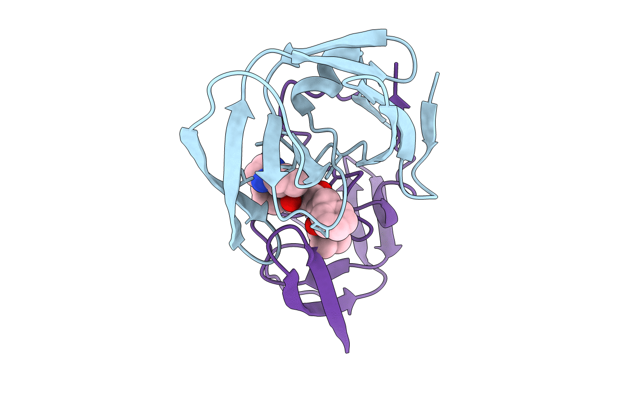 1TCX image