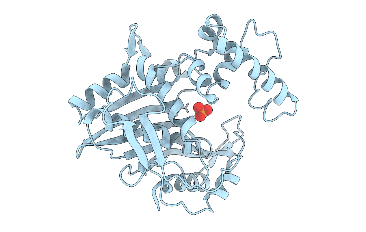 1TDA image