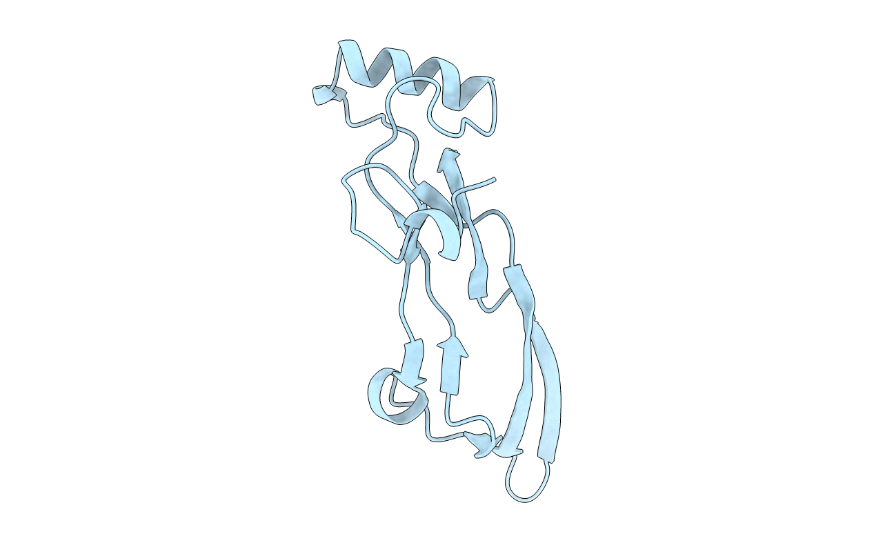 1TFG image