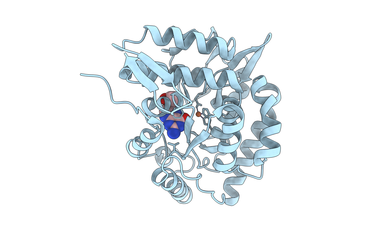 1TG2 image