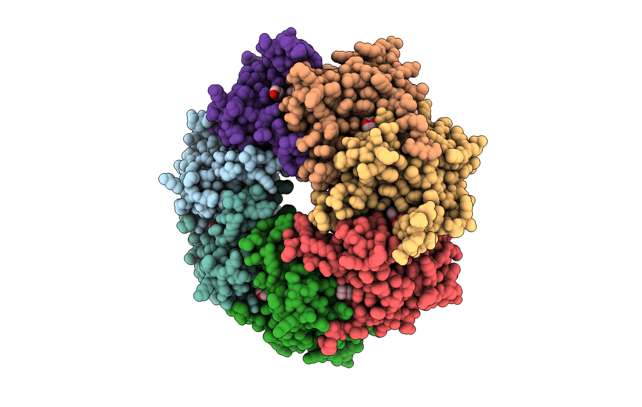 1TG6 image