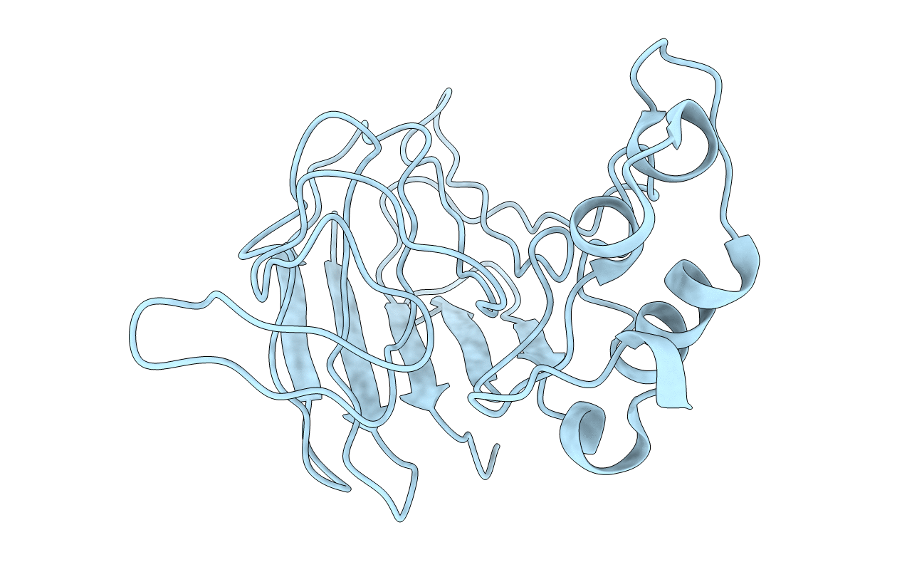 1THV image