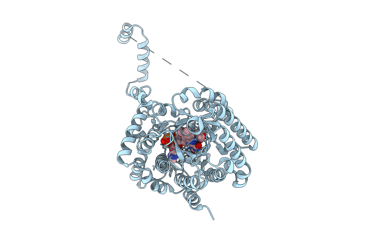 1TIW image