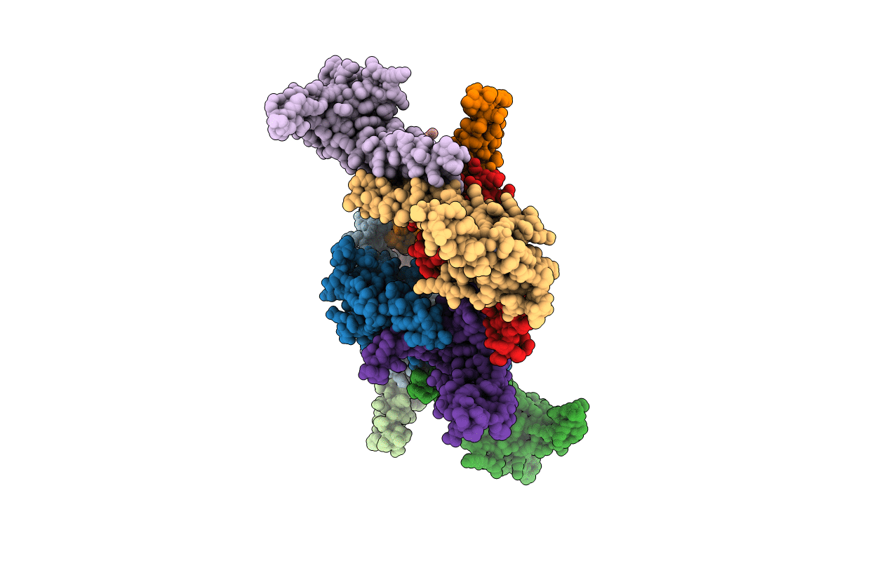 1TJL image