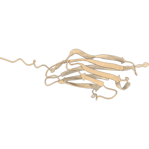 1TLK image